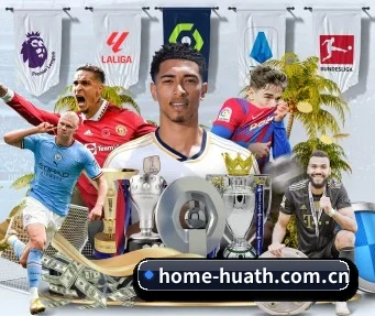 home-huath.com.cn APP
